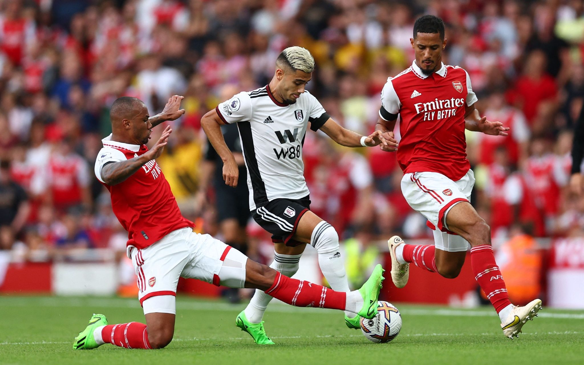 从这份预测 从这份预测